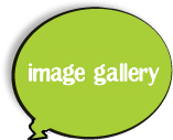 Image gallery